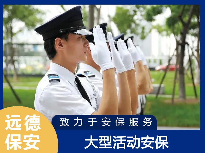 黄浦大型活动现场安保